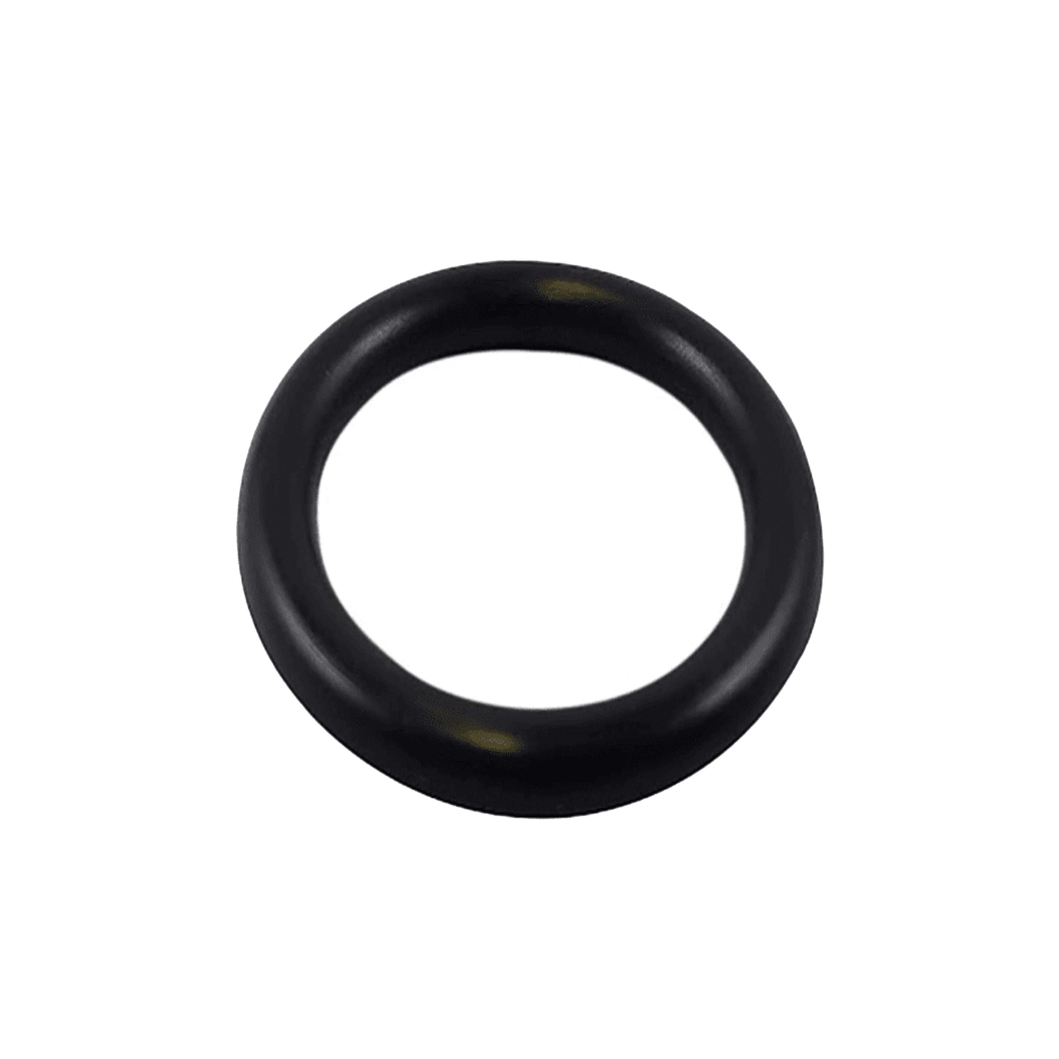Replacement Vacuum O-ring for VacMaxx Kit
